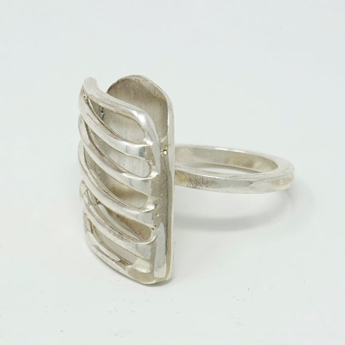 Oblique Cage Ring
